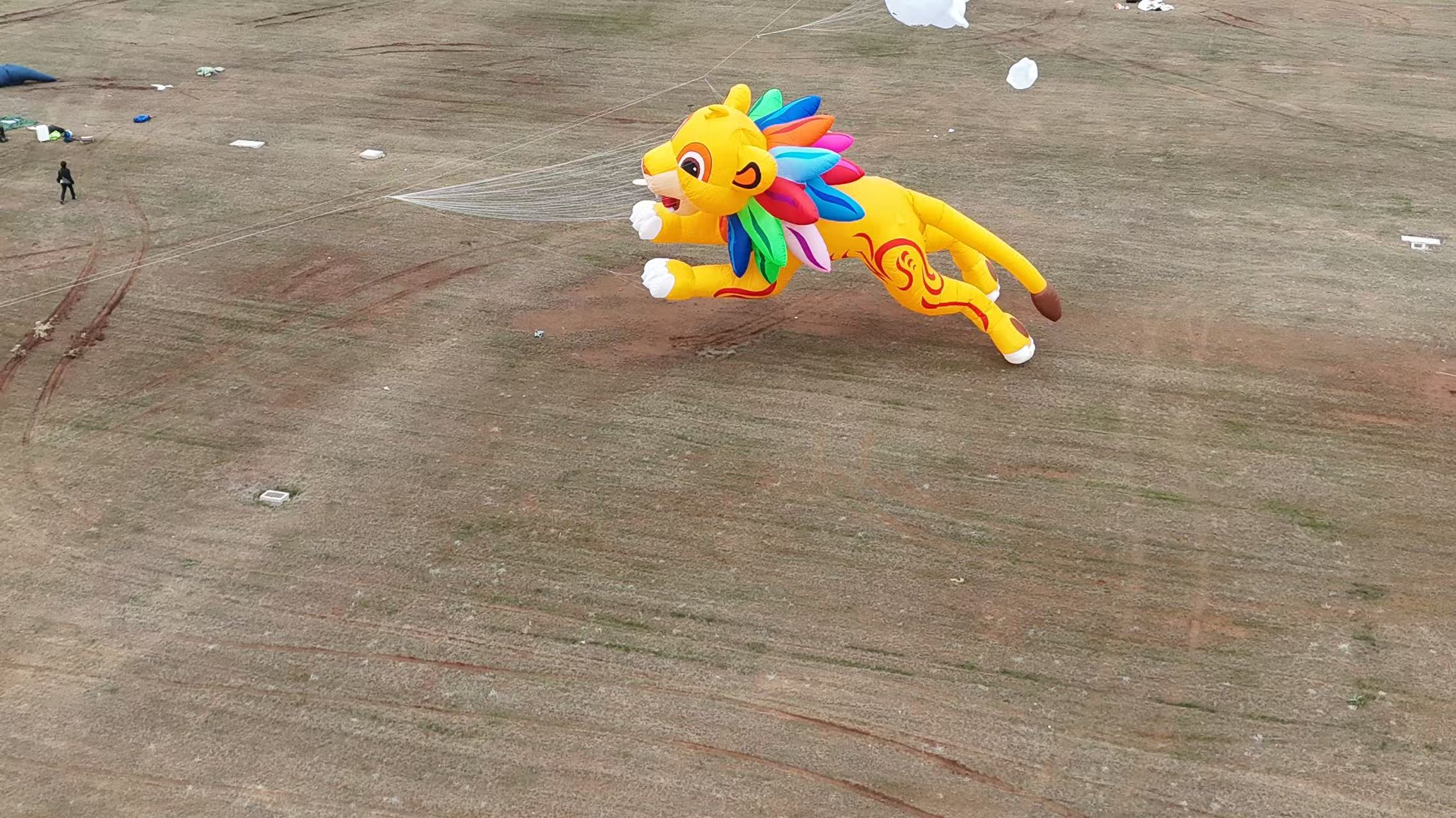 大连市品牌风筝定制风筝加工 - 推荐